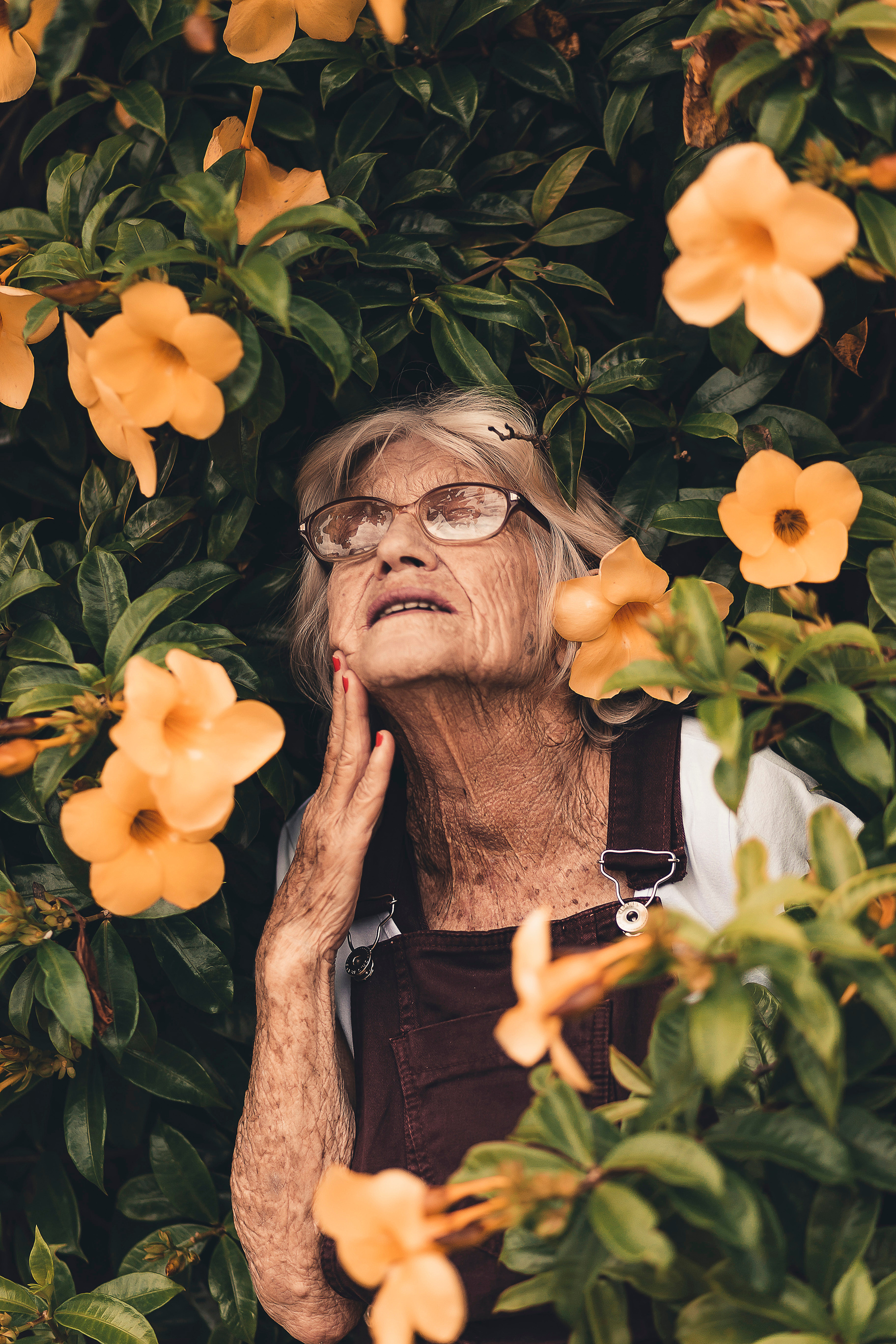 Woman Standing on Yellow-petaled Flowers